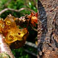 Oxicloruro de cobre fungicida preventivo y curativo 250 gr  - Miniatura 3
