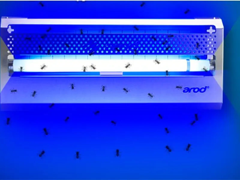 Control de insectos con lámparas UV  SIN QUIMICOS