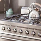Desengrasante parrillas y hornos + Protector Acero Inox + 50 paños + Cepillo  - Miniatura 6