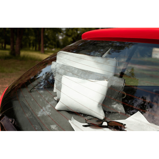 Limpia Parabrisas ULTRA concentrado / Made in Germany