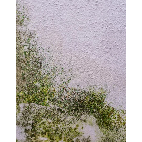 Lavado de Terrazas de Departamentos | Sin Filtraciones ni Multas