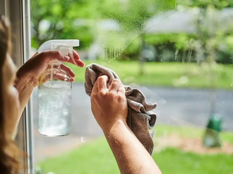 Vinagre Blanco vs Vinagre de Limpieza: Diferencias, Usos y Cómo Aprovecharlos en el Hogar