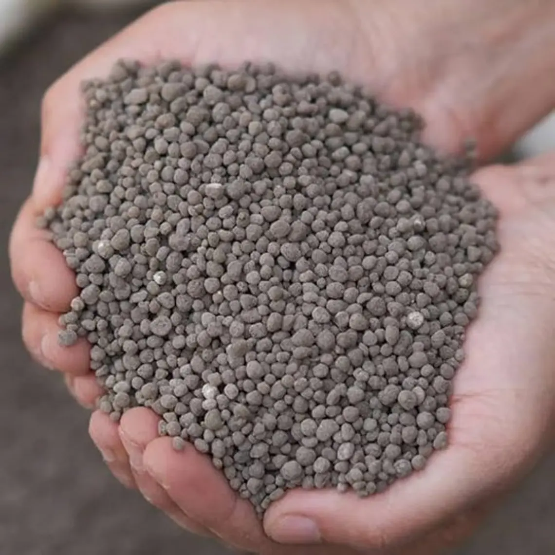Super Fosfato Triple 25 Kg Fertilizante 0-46-0 para Raíces, Jardines y Cultivos | FuzeClean Chile 2