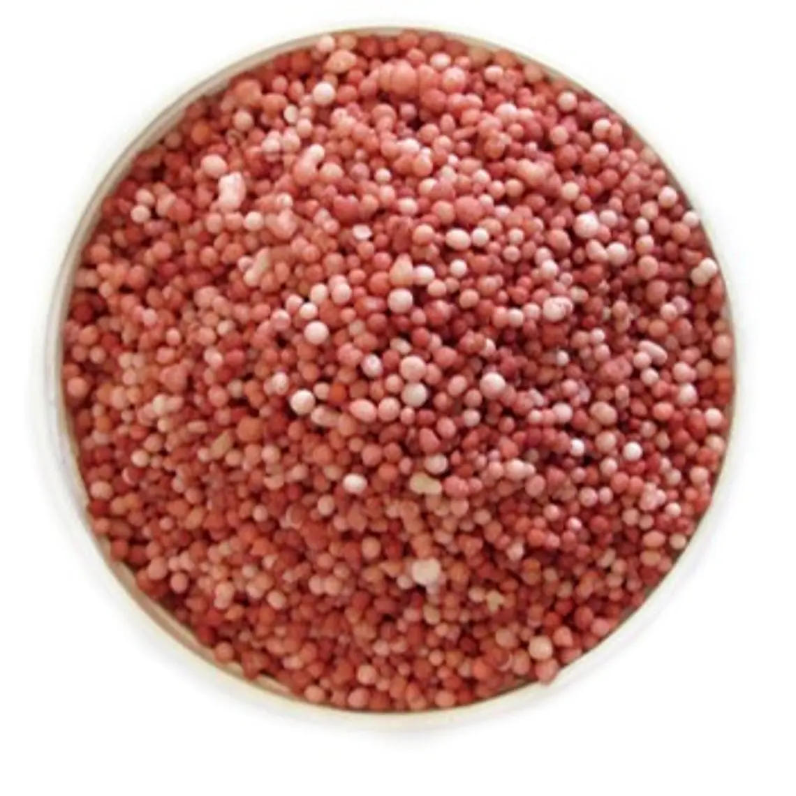 Salitre Potásico 25 Kg Fertilizante Nitrato de Potasio para Frutales, Jardín y Cultivos | FuzeClean Chile 2