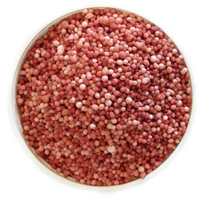 Salitre Potásico 25 Kg Fertilizante Nitrato de Potasio para Frutales, Jardín y Cultivos | FuzeClean Chile