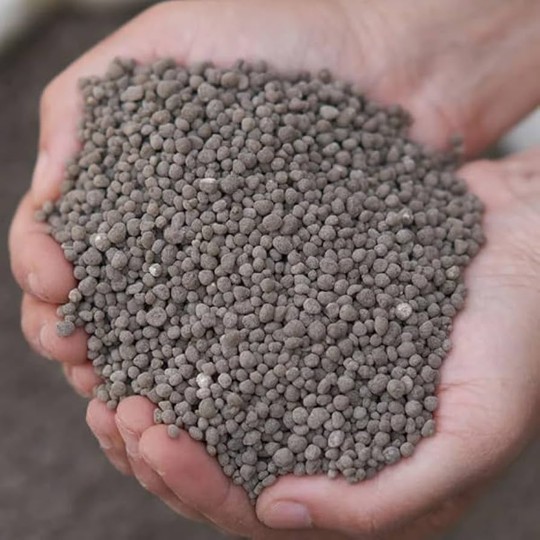 Super Fosfato Triple – El Fertilizante Clave para Raíces Fuertes y Mejor Floración