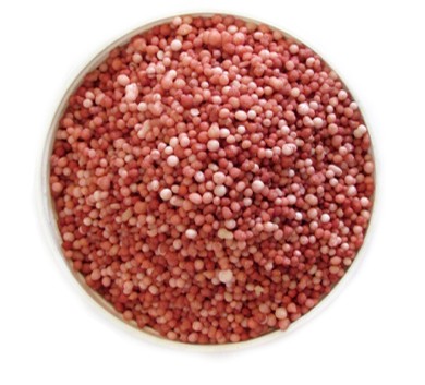 Salitre Potásico – El Fertilizante Ideal para Mejorar Frutos, Floración y Producción