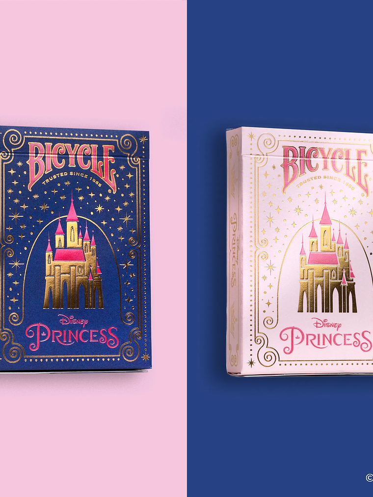 BICYCLE DISNEY PRINCESS SET AZUL MARINO Y ROSA 1