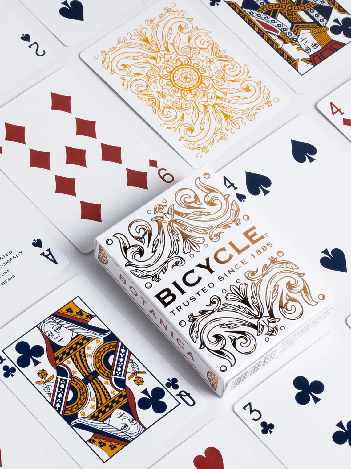 BICYCLE BOTANICA 2