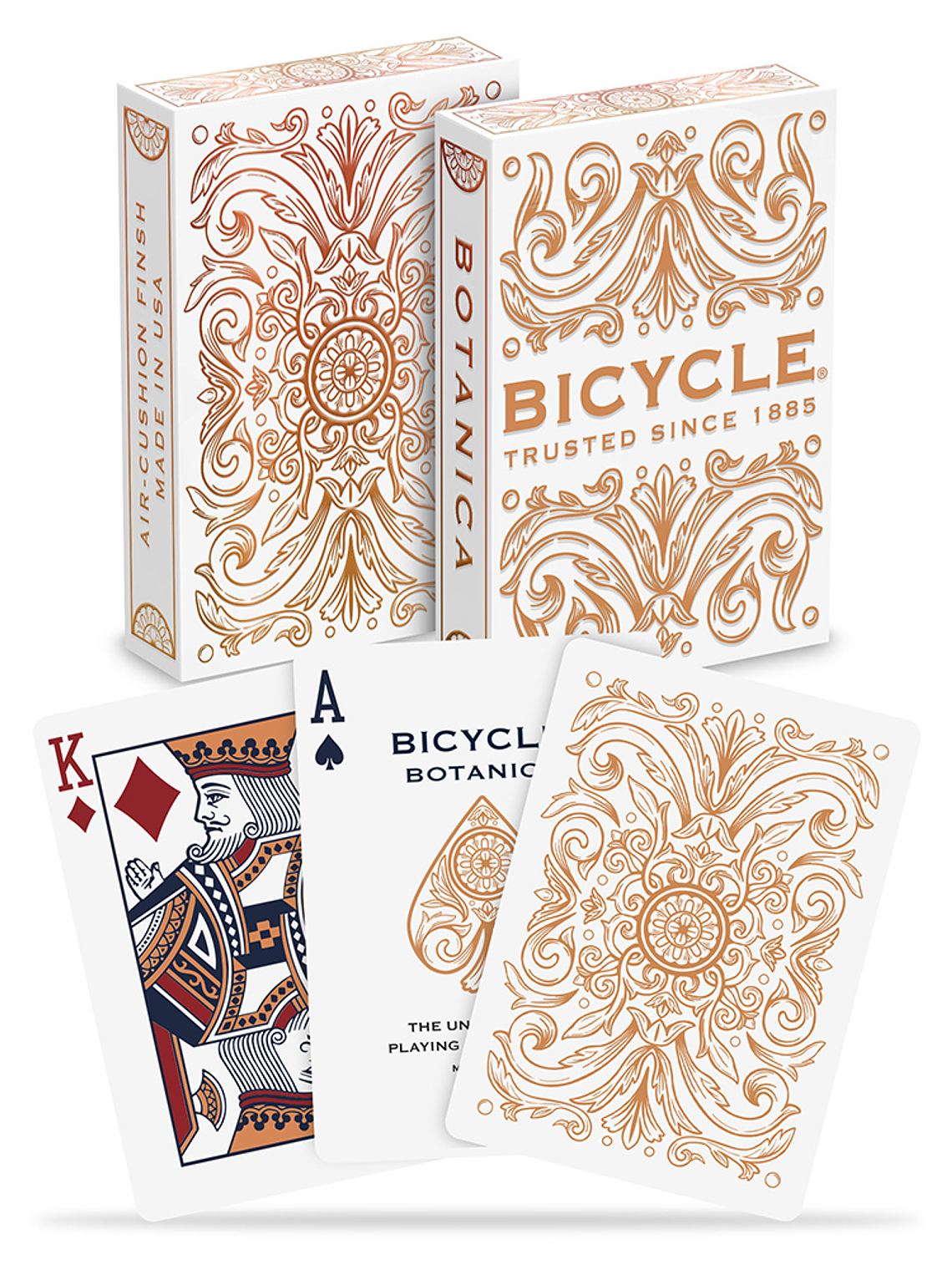 BICYCLE BOTANICA 1