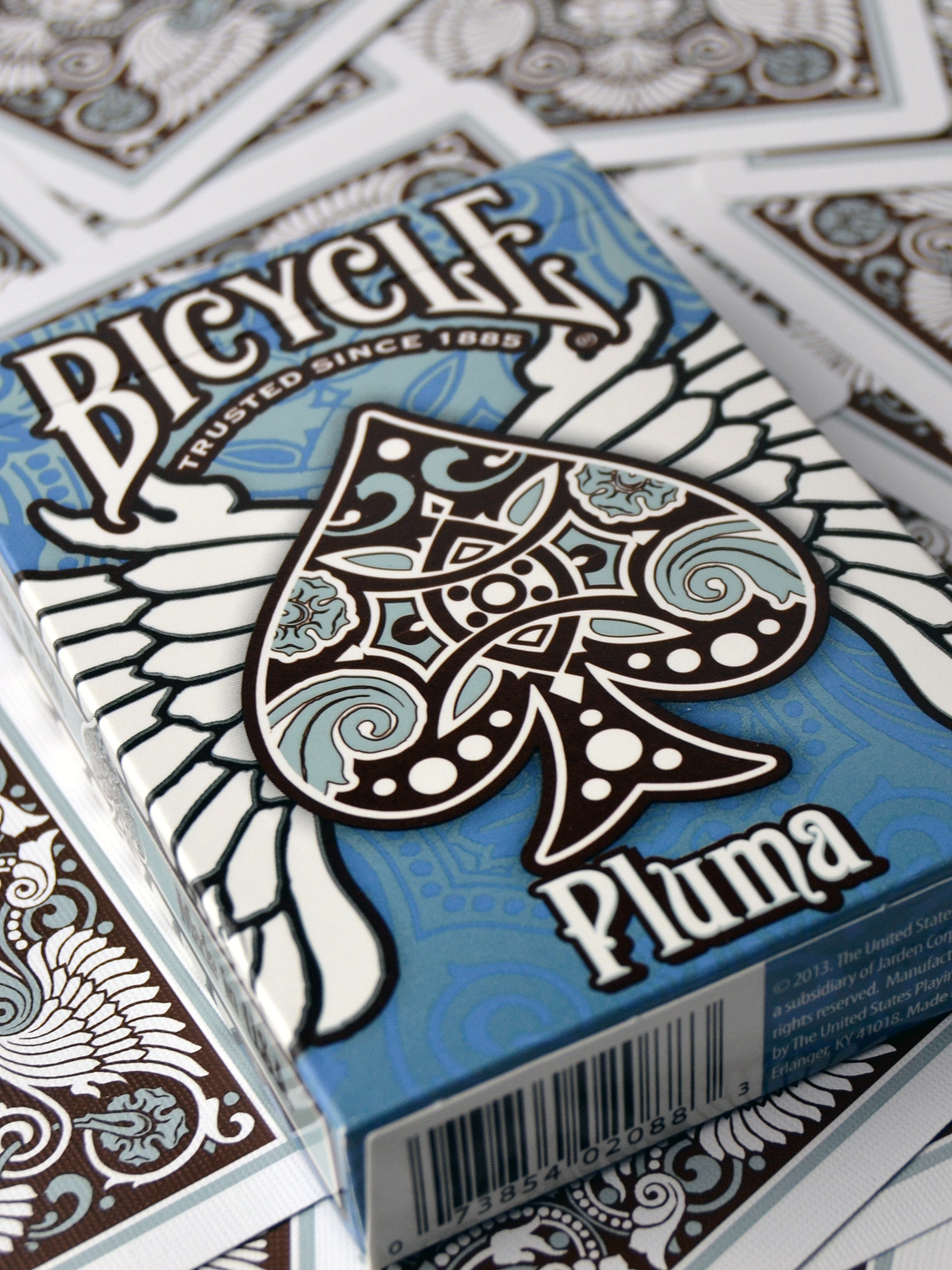 BICYCLE PLUMA 2