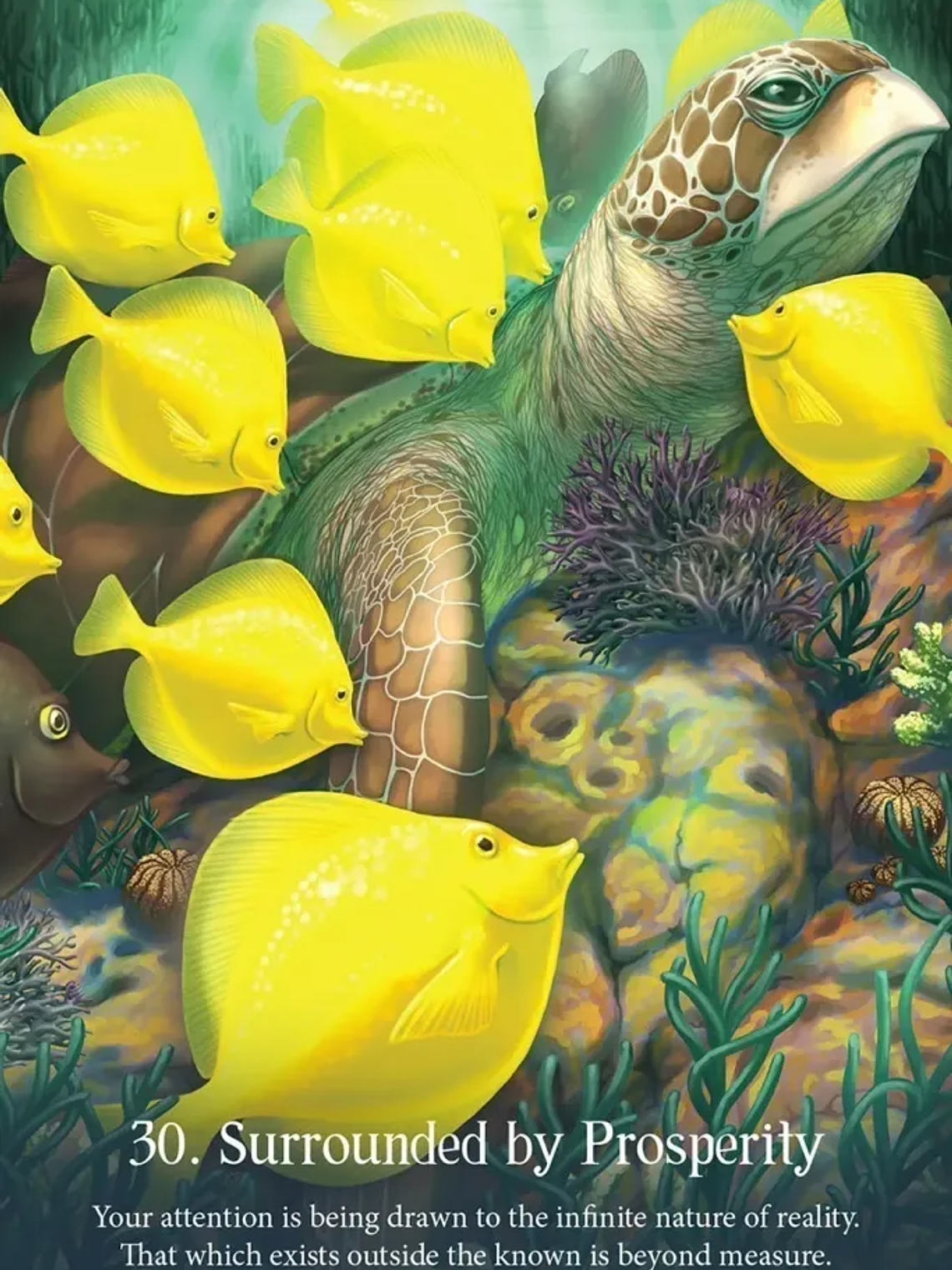 WHISPERS OF THE OCEAN 6