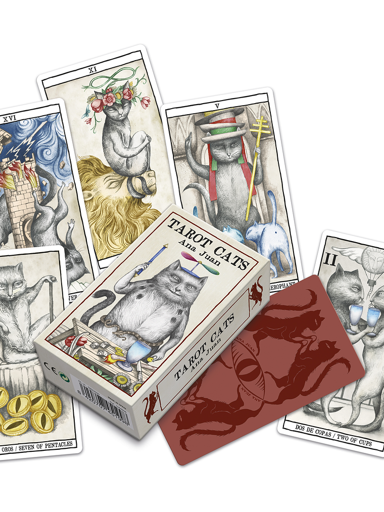 TAROT CATS DE ANA JUAN  1