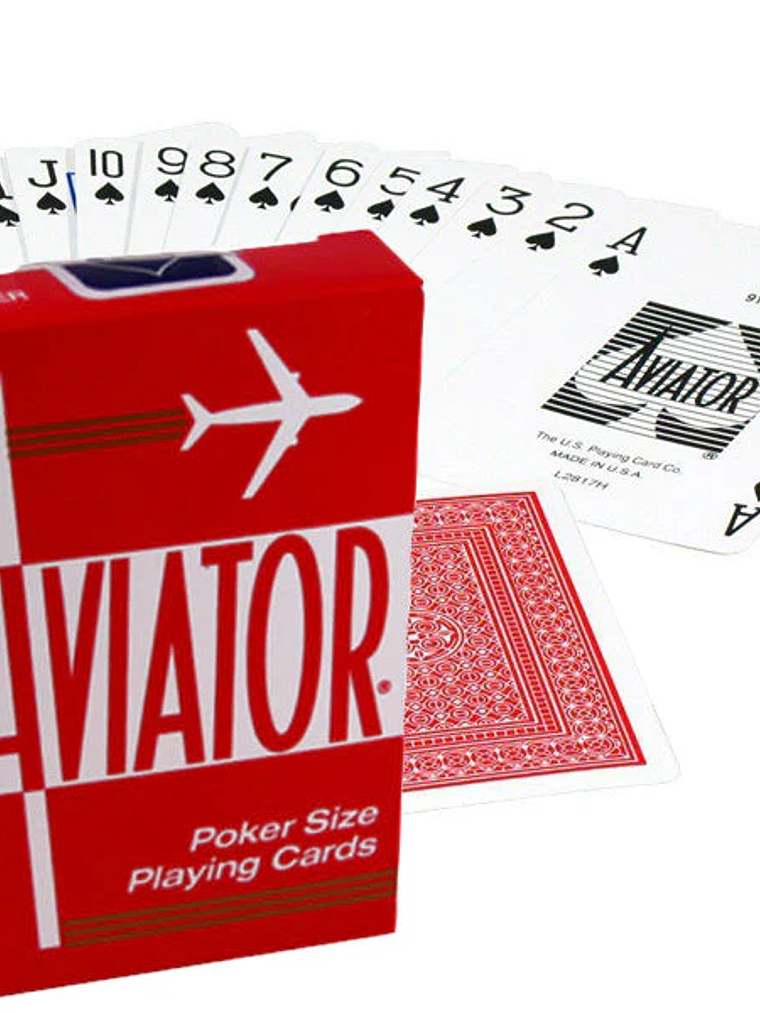 AVIATOR STANDARD INDEX ROJA 1