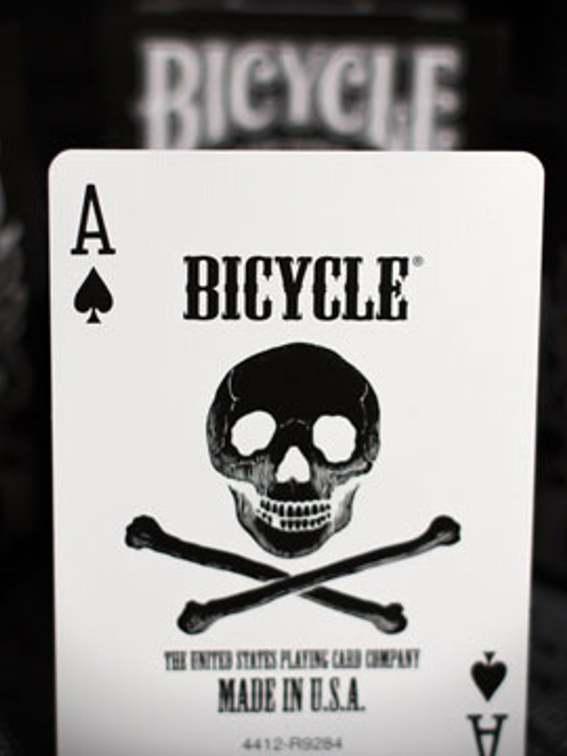 BICYCLE SKULL 5