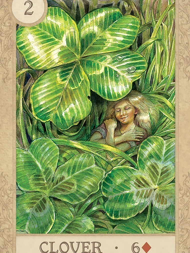 LIGHT & DREAMS ORACLE 4