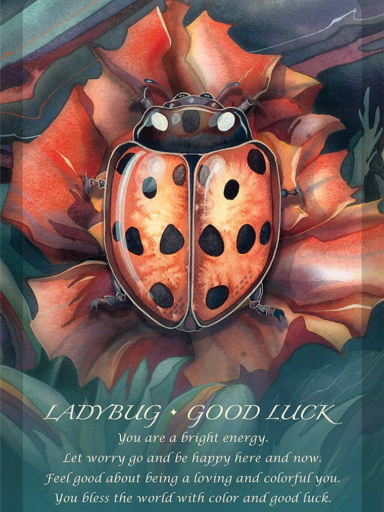 SPIRIT OF THE ANIMALS ORACLE 2