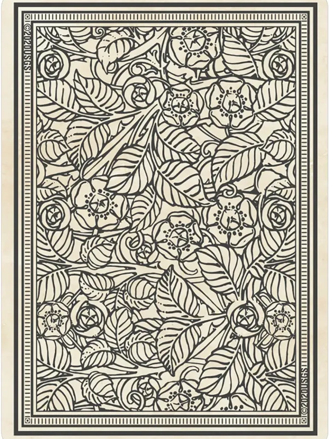 RIDER-WAITE TAROT Y CARTAS 11