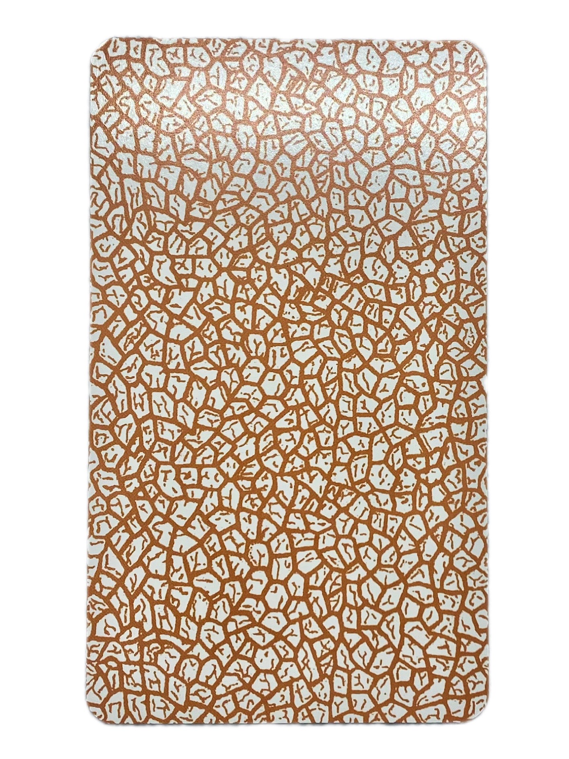 TAROT DE A.E WAITE EDICIÓN PREMIUM EN ESPAÑOL 8