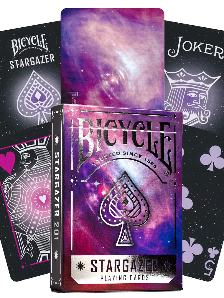 BICYCLE STARGAZER 201 1