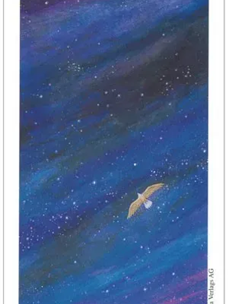 VISION QUEST TAROT EN ESPAÑOL 9