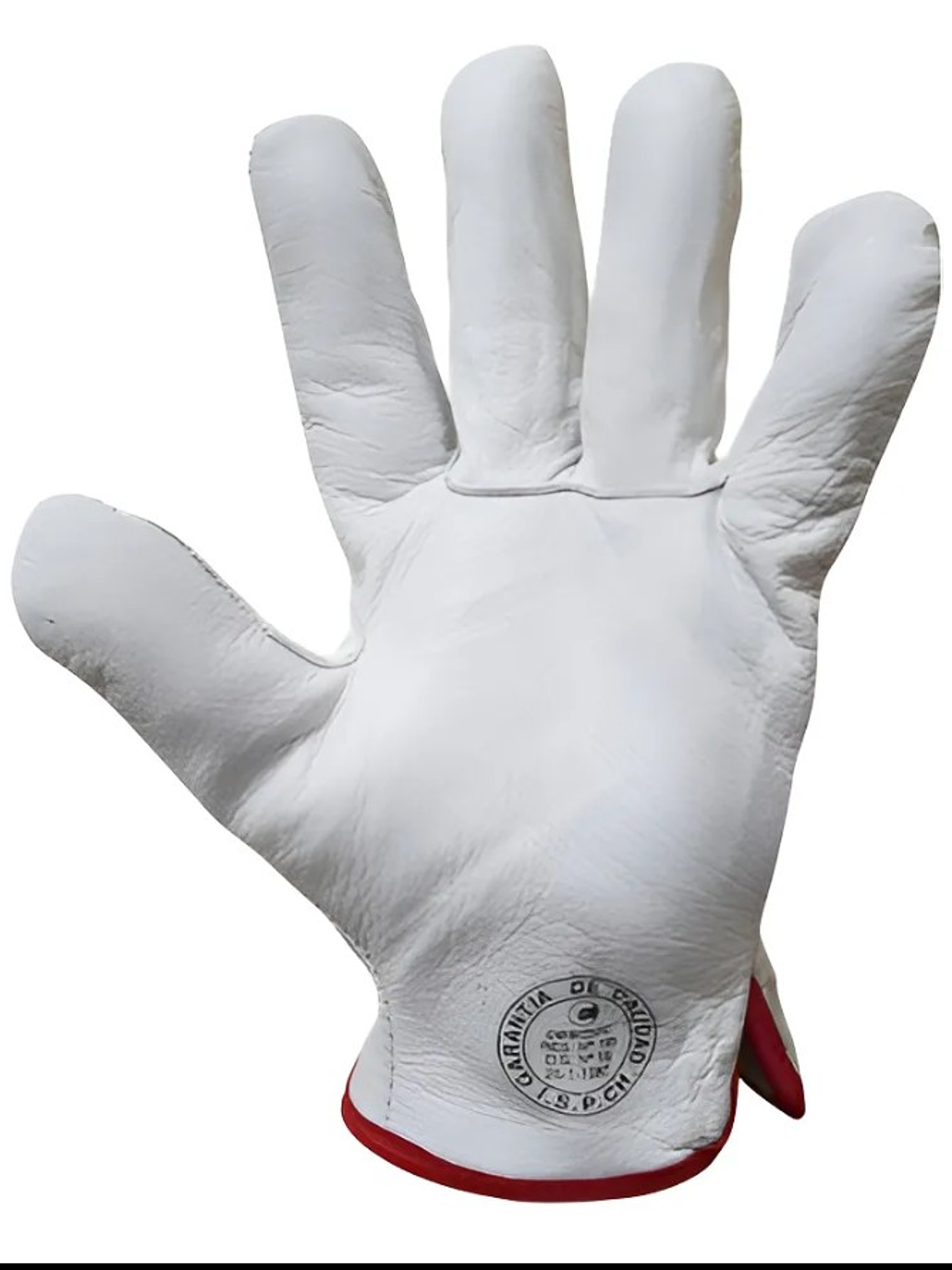 Guantes Cabritilla 12 Und Pack 2