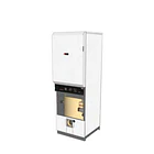 Caldera de Pie Trotter Industrial HeatMaster 60N (Gas Natural/Licuado) (69 kW) 2