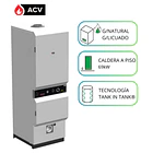 Caldera de Pie Trotter Industrial HeatMaster 60N (Gas Natural/Licuado) (69 kW) 1