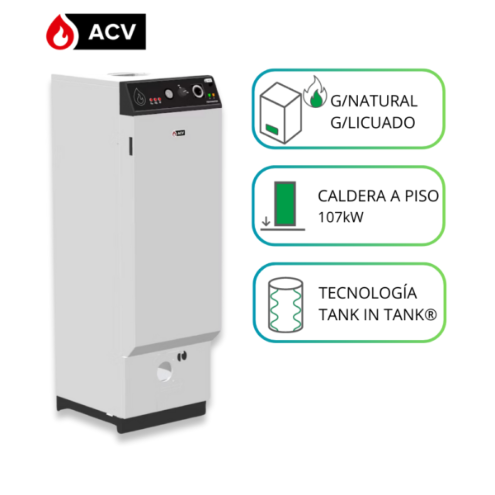 Caldera de Pie Trotter Industrial HeatMaster 100N (Gas Natural/Licuado) (107 kW) 1
