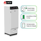 Caldera de Pie Trotter Industrial HeatMaster 100N (Gas Natural/Licuado) (107 kW) 1