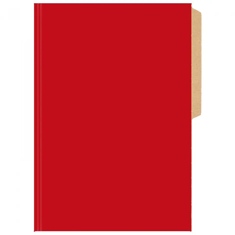 Carpeta Cartulina Pigmentada. 7