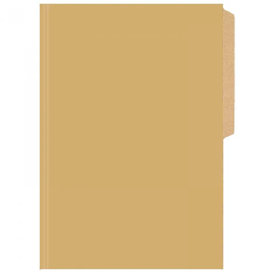 Carpeta Cartulina Pigmentada. 8