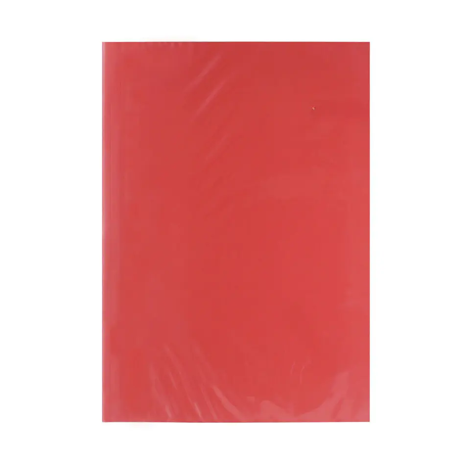 Carpeta Plastificada sin Accoclip Oficio  6