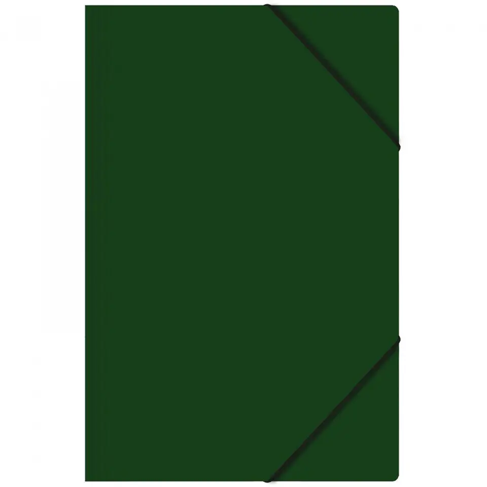Carpeta Cartera Oficio Buho con Elástico 1