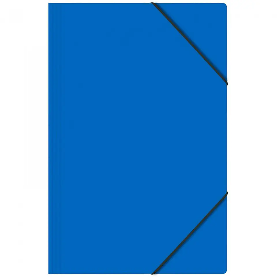 Carpeta Cartera Oficio Buho con Elástico 3