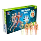 Kit anatomía cuerpo humano armable - Miniatura 1