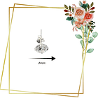 Aros de Plata 925 con circones transparentes 2