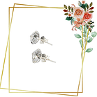 Aros de Plata 925 con circones transparentes 1