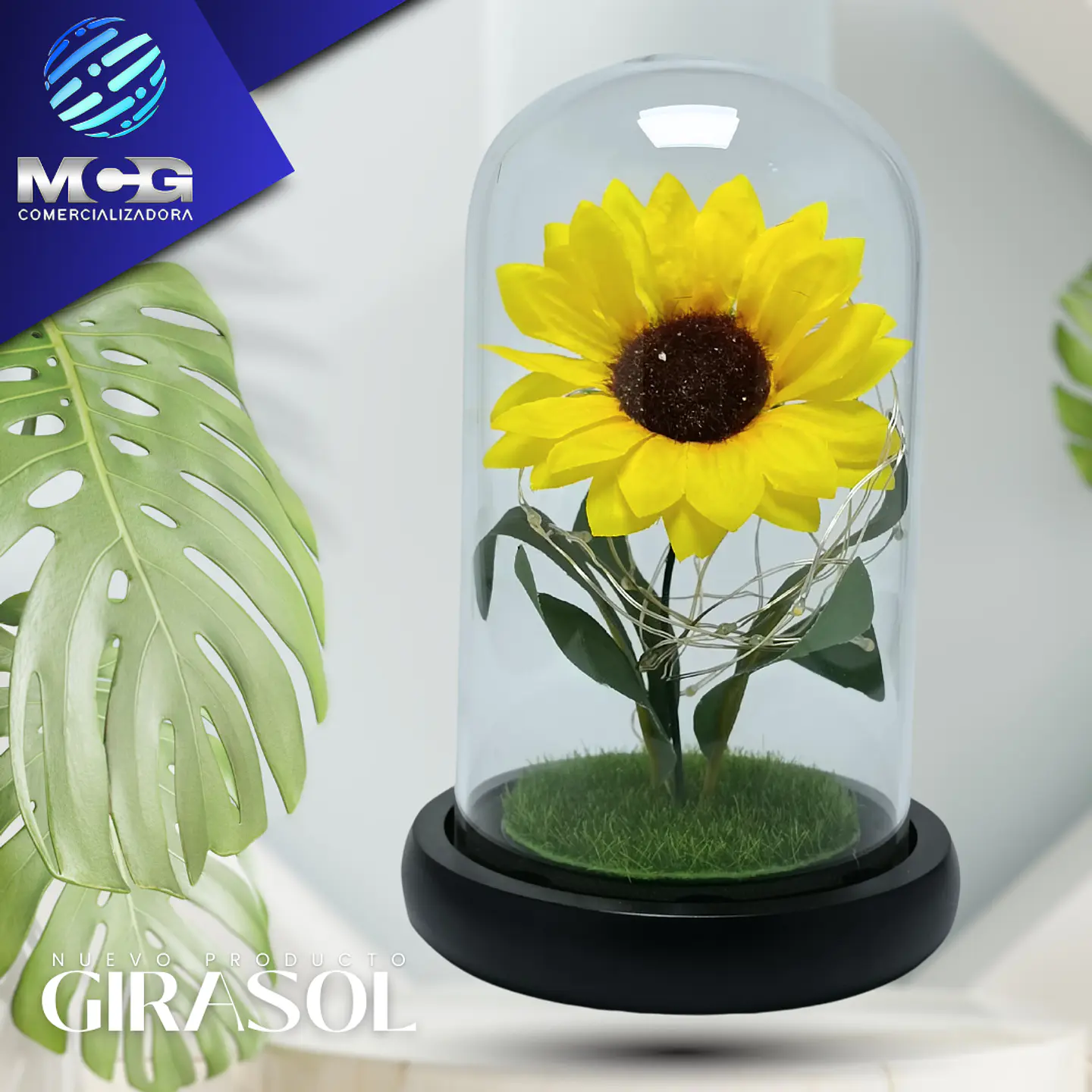 Girasol art. en Cúpula de vidrio 1