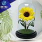 Girasol art. en Cúpula de vidrio - Miniatura 1