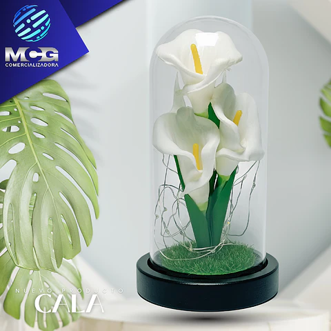 Flor Cala art en cúpula de vidrio