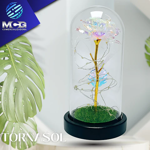 Rosa Tornasol art en cúpula de vidrio