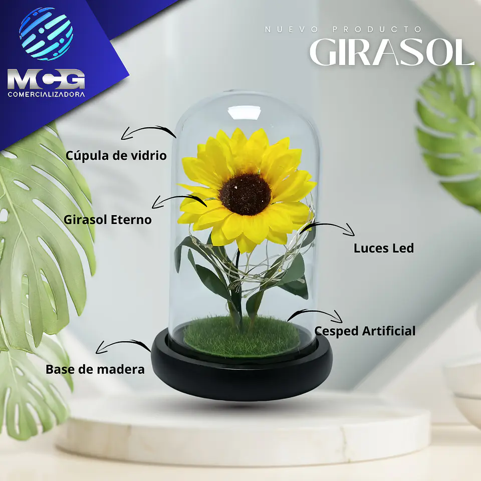 Girasol art. en Cúpula de vidrio 2