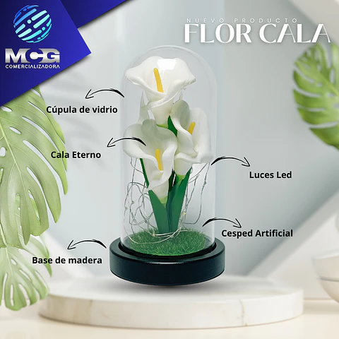 Flor Cala art en cúpula de vidrio