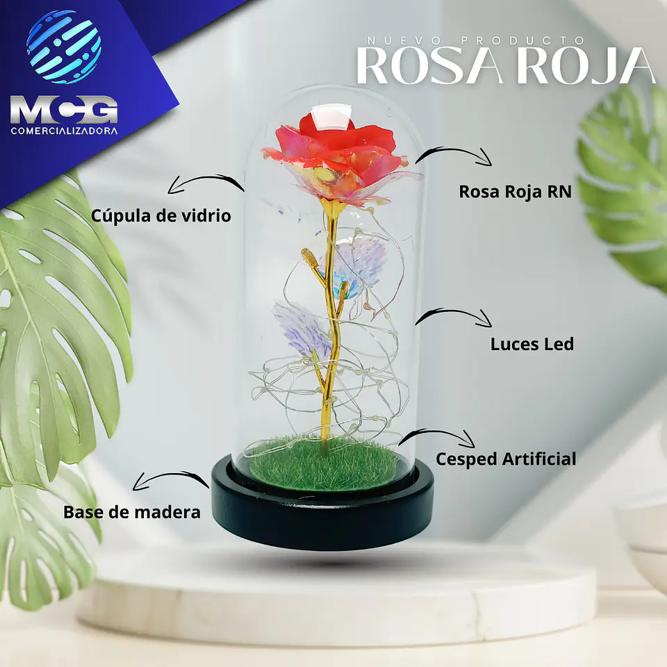 Rosa Roja RN art en cúpula de vidrio 2