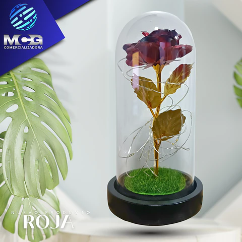 Rosa Roja art en cúpula de vidrio