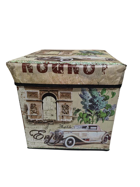 Caja Organizadora