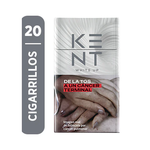 CIGARROS KENT WHITE UP DE 20