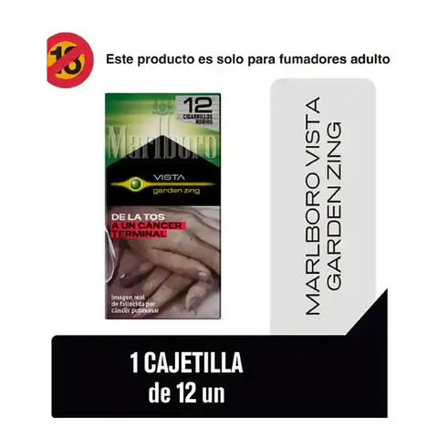 CIGARROS MARLBORO VISTA GARDEN ZING DE 12