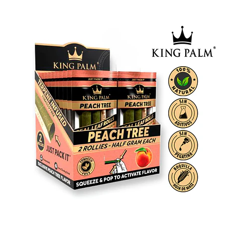 TUBOS KING PALM PEACH TREE